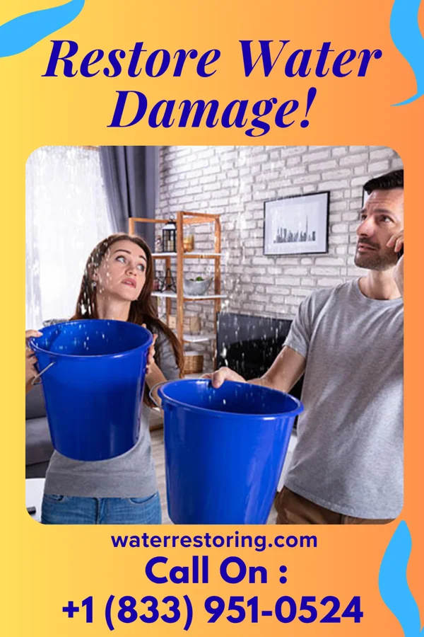 water restoration Capital Disaster Recovery Masters Roselle