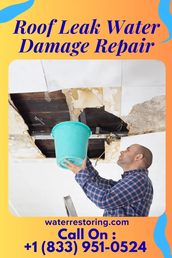 Roof Leak Water Damage Repair in Roselle, IL